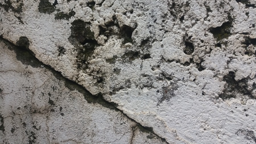Mold Testing Services