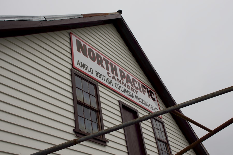 Mold Inspection Services