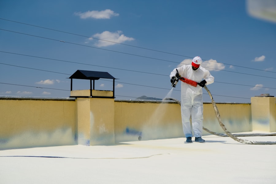Toxic Mold Removal