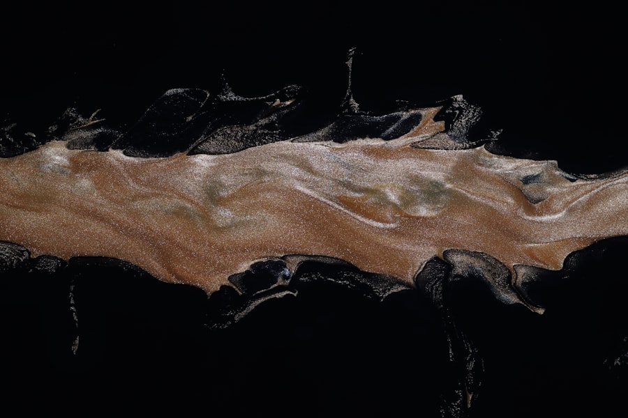 Black Mold Removal