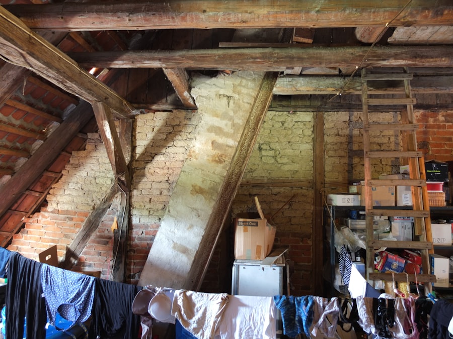 Attic Mold Removal