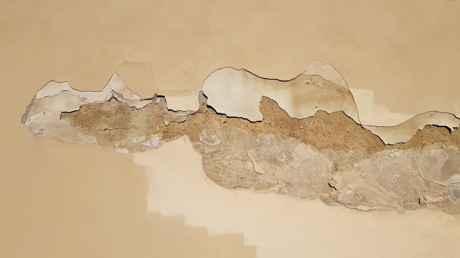 Mold Inspection