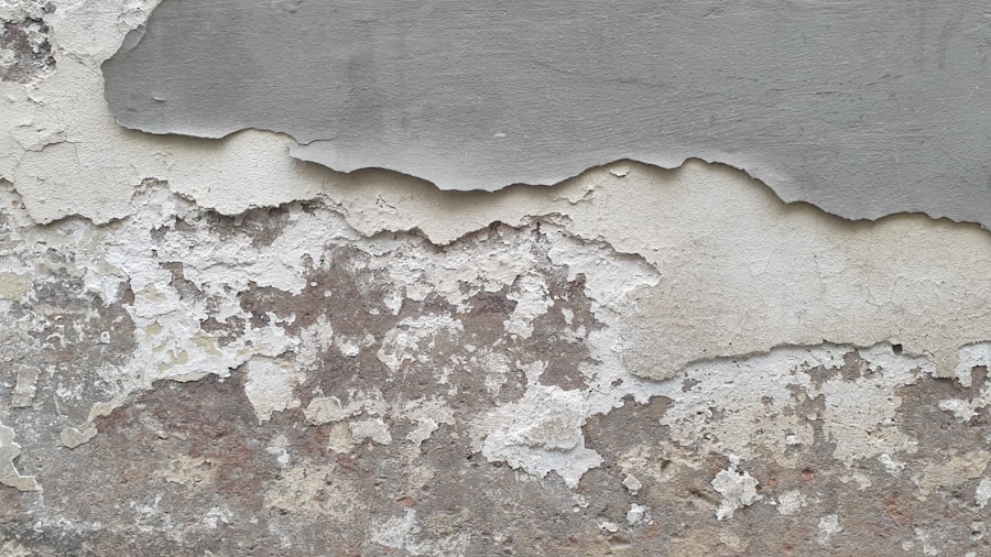 HVAC/Ductwork Mold Removal