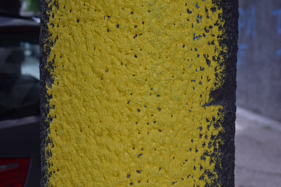 Chaetomium Mold Removal