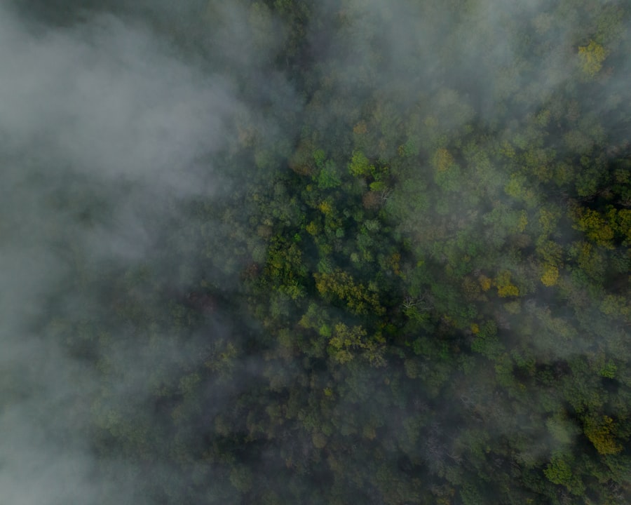 Dry Fogging Technology