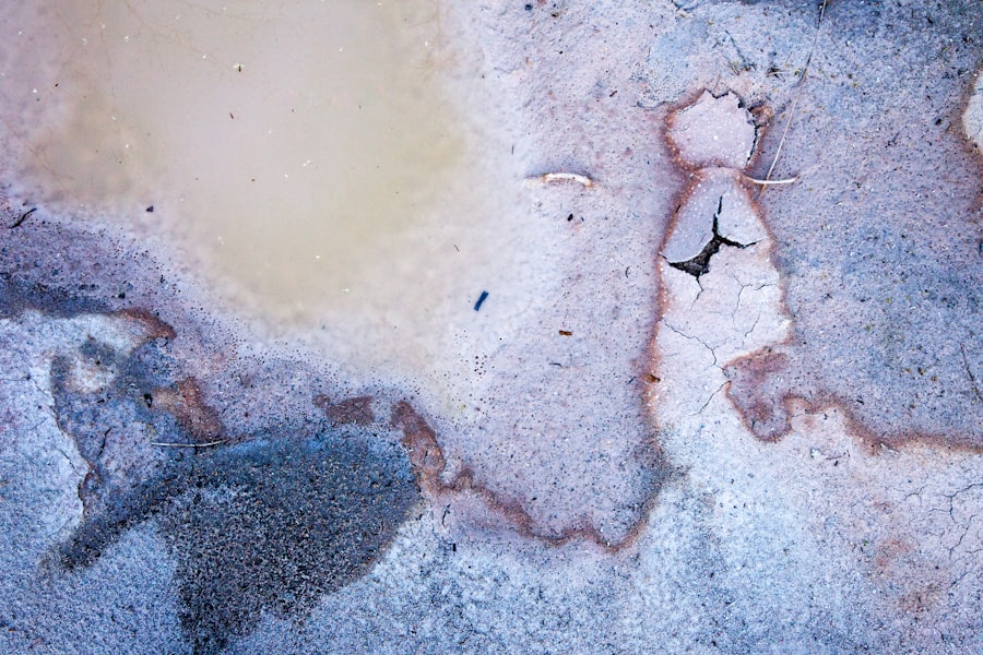Crawl Space Mold Removal