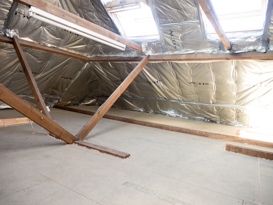 Attic Mold Removal
