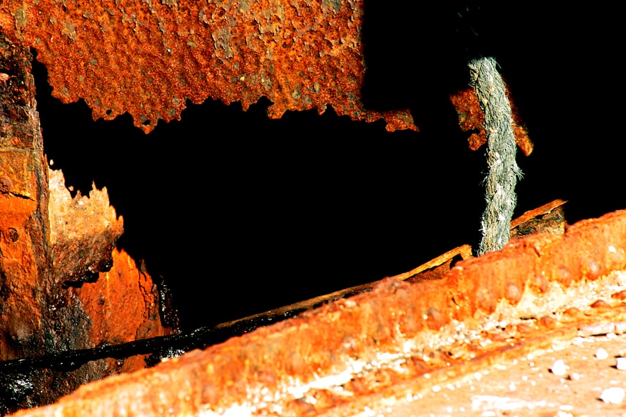 Photo Crawl Space Mold Removal