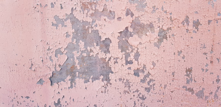 Photo Toxic Mold Removal