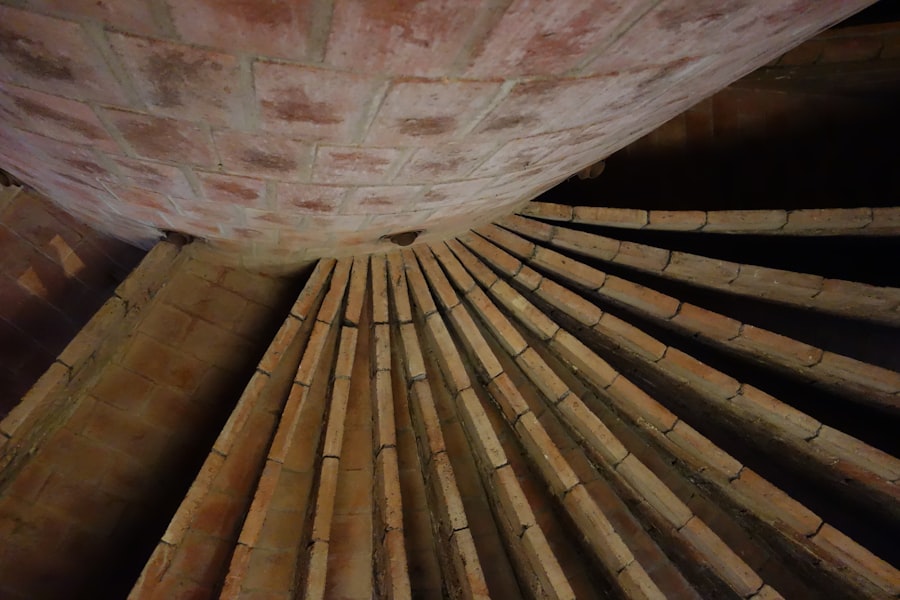 Photo Attic Mold Removal
