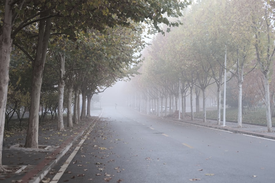Photo Dry Fogging Technology Services
