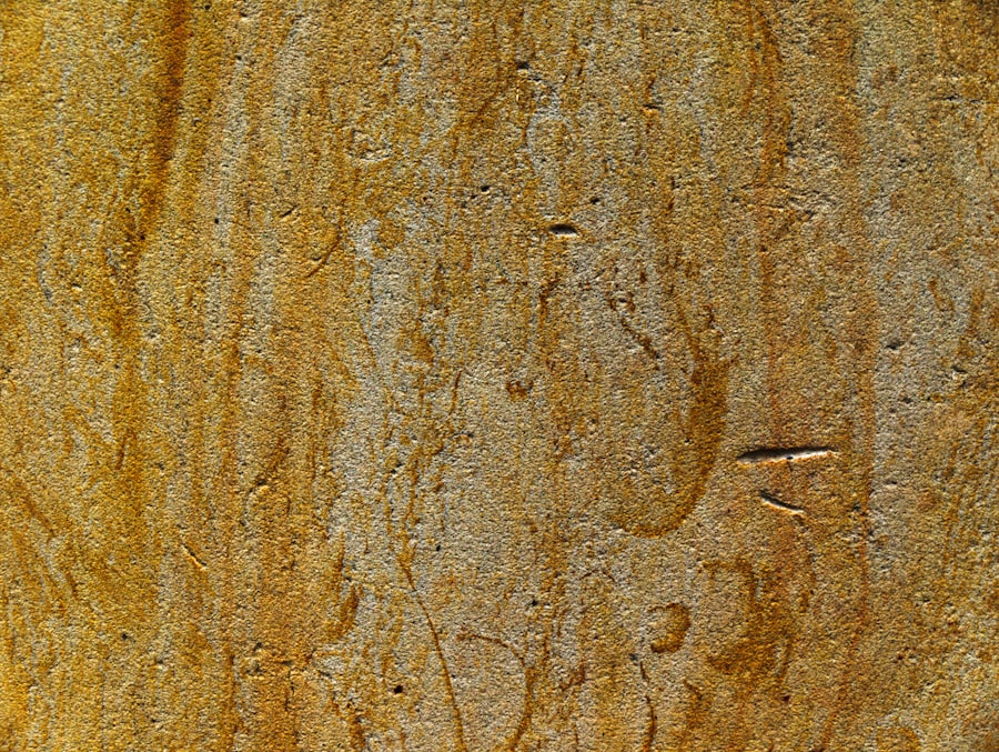 Photo Stachybotrys Chartarum Mold Removal