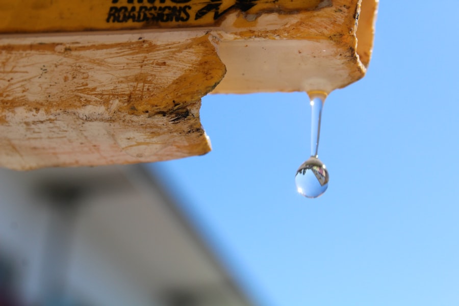 Photo Waterproofing Service