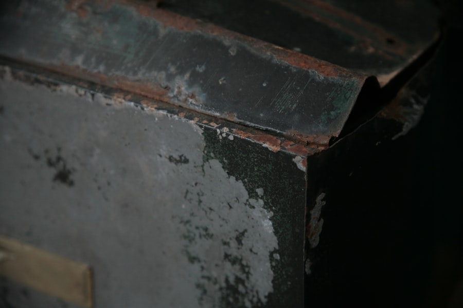 Photo Mold Inspection Services