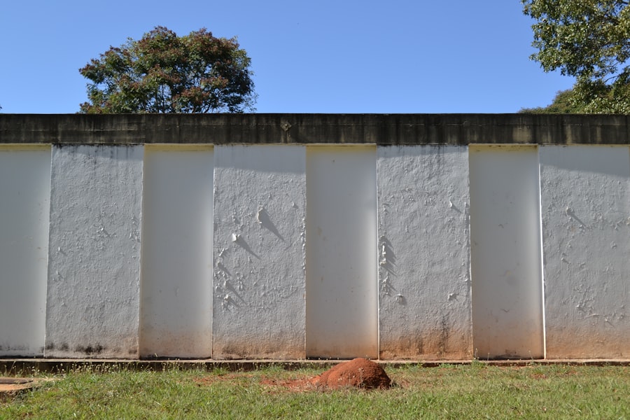 Photo Dry Wall Removal Services