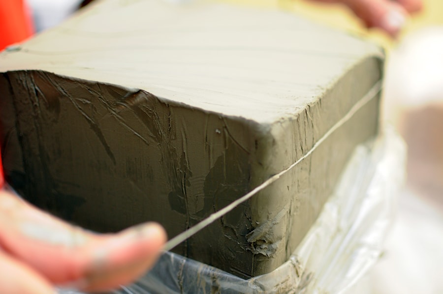 Photo Mold Remediation Service