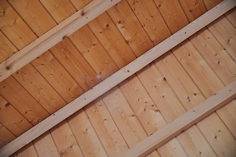 Photo Attic Mold Removal