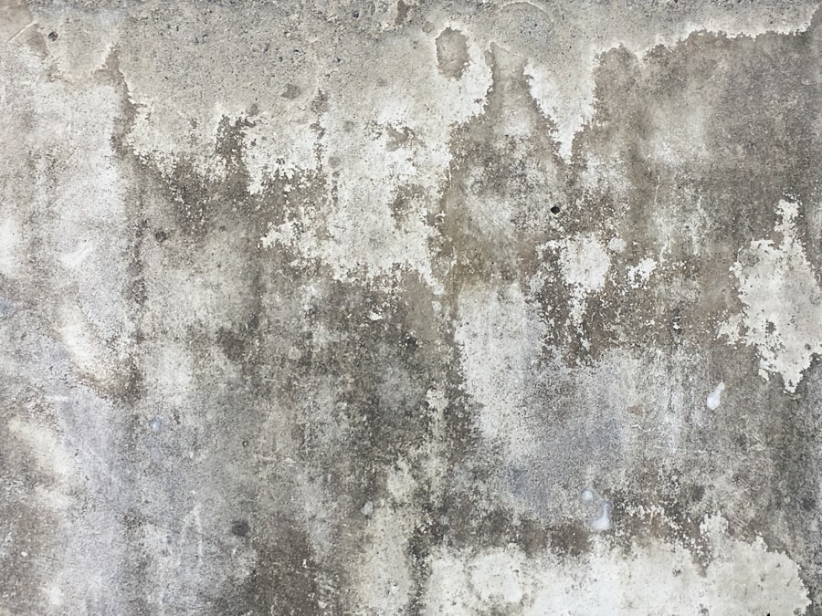 Photo HVAC/Ductwork Mold Removal
