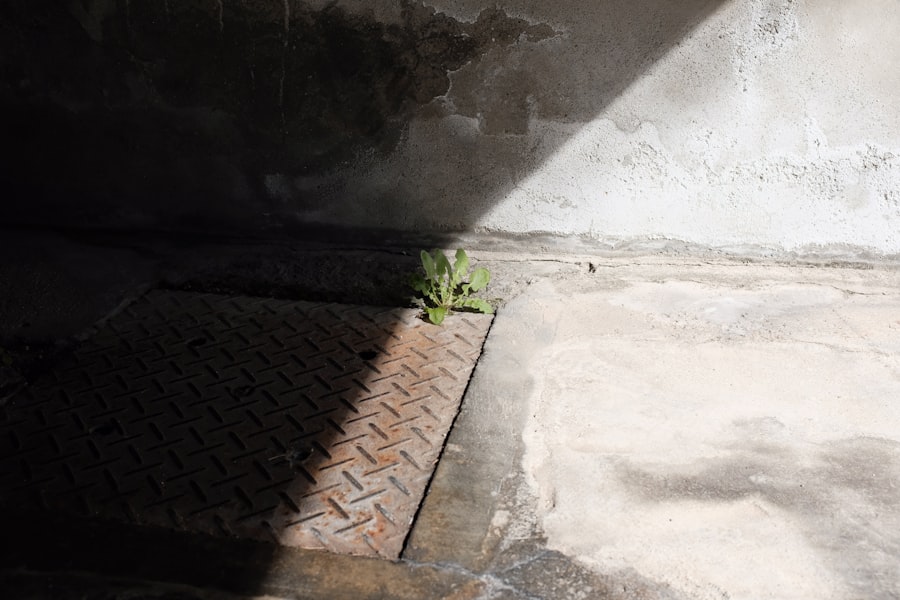Photo Crawl Space Encapsulation