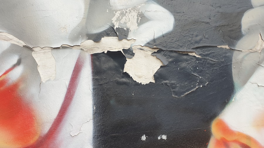 Photo Chaetomium Mold Removal