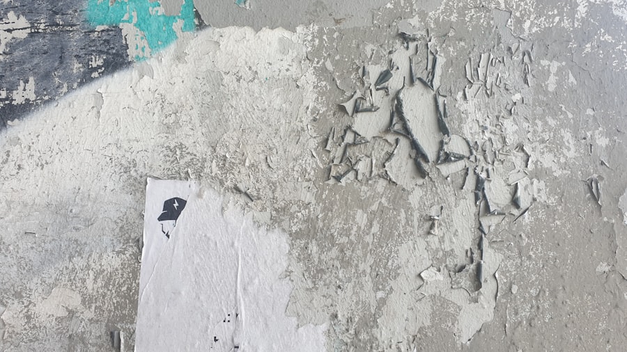 Photo Chaetomium Mold Removal