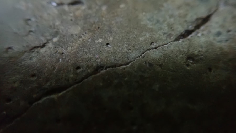 Photo Black Mold Removal